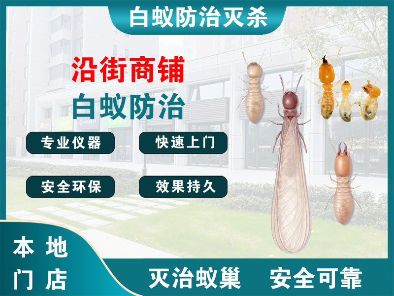 乐清沿街商铺白蚁防治