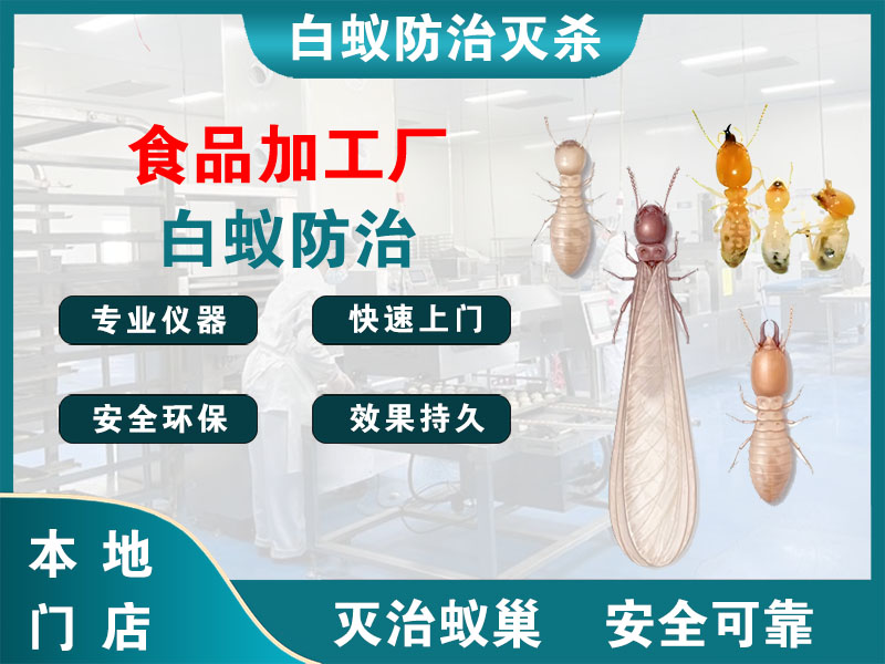乐清食品加工厂白蚁防治