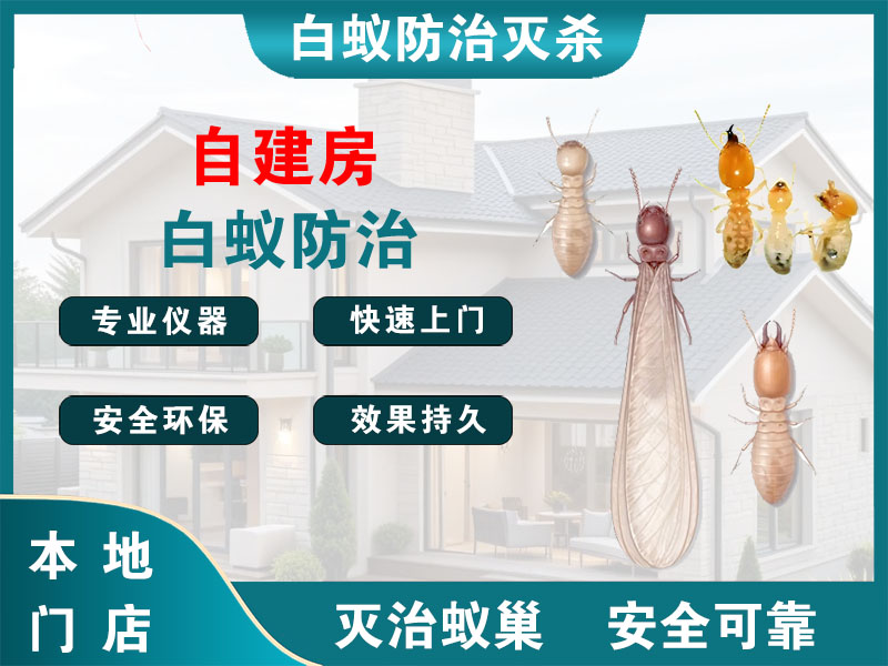 乐清自建房白蚁防治