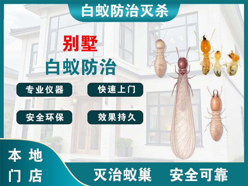 乐清别墅白蚁防治