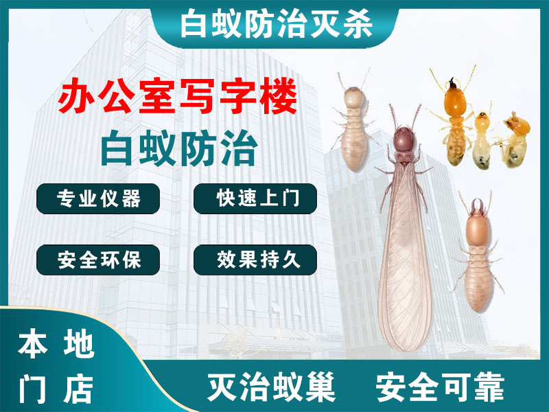 乐清办公室写字楼白蚁防治